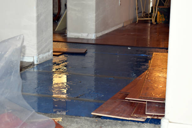 Professional Sewage Cleanup technician working in Hometown, IL
